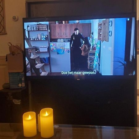 Vakantiebungalow De Schaapskooi Epe Zewnętrze zdjęcie